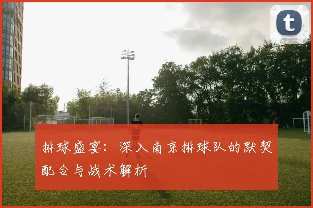 排球盛宴：深入南京排球队的默契配合与战术解析