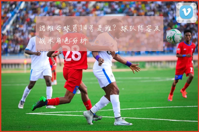 诺维奇球员14号是谁？球队阵容及战术角色分析