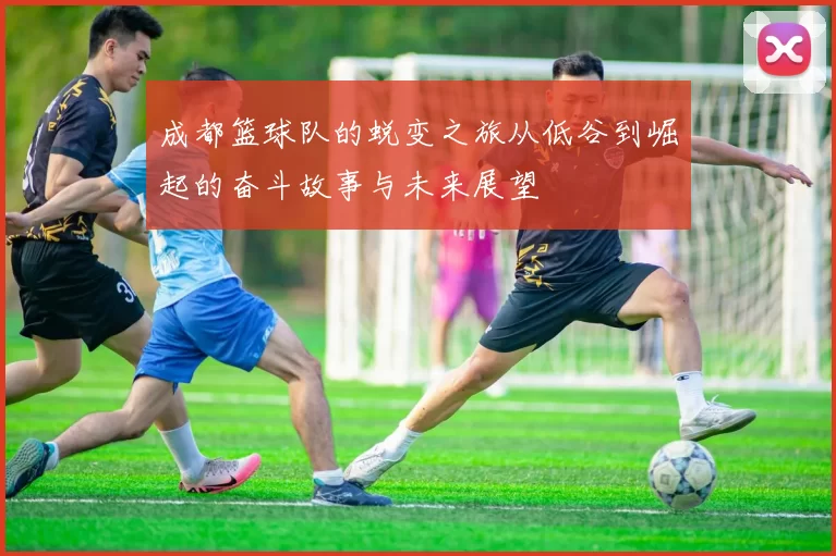 成都篮球队的蜕变之旅从低谷到崛起的奋斗故事与未来展望