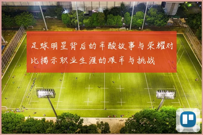 足球明星背后的辛酸故事与荣耀对比揭示职业生涯的艰辛与挑战