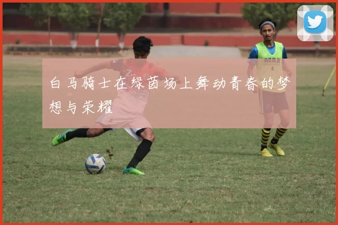 白马骑士在绿茵场上舞动青春的梦想与荣耀