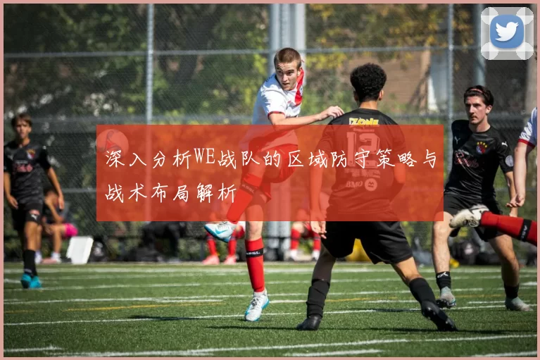 深入分析WE战队的区域防守策略与战术布局解析