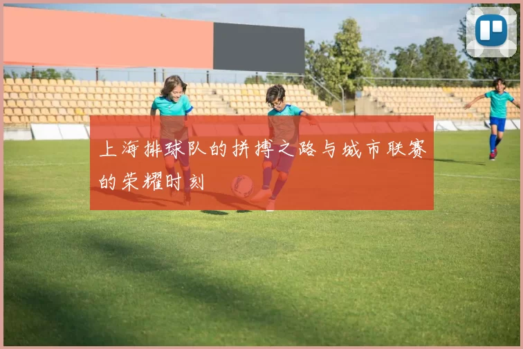 上海排球队的拼搏之路与城市联赛的荣耀时刻