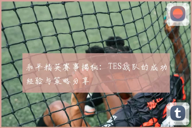 和平精英赛事揭秘：TES战队的成功经验与策略分享