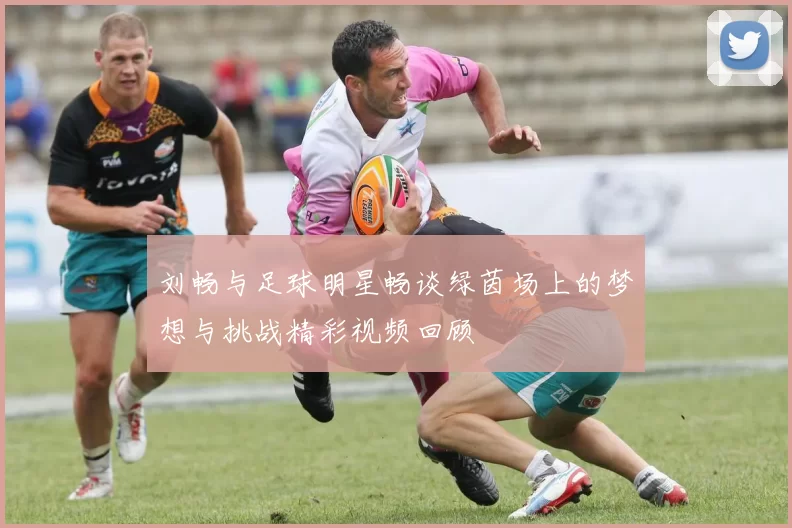 刘畅与足球明星畅谈绿茵场上的梦想与挑战精彩视频回顾