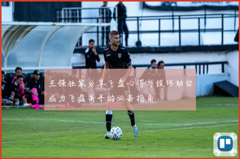 王强独家分享飞盘心得与技巧助你成为飞盘高手的必备指南