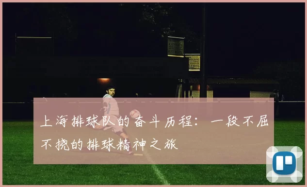 上海排球队的奋斗历程：一段不屈不挠的排球精神之旅