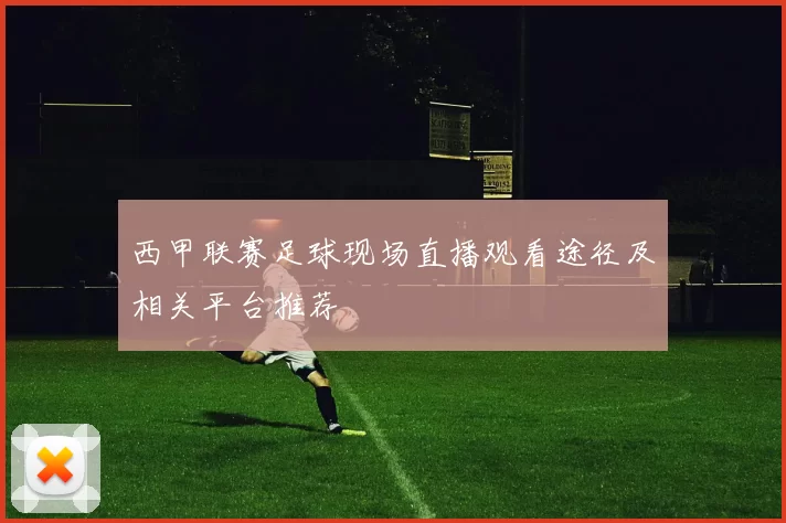 西甲联赛足球现场直播观看途径及相关平台推荐