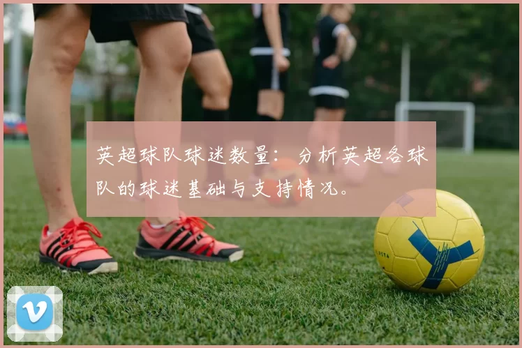 英超球队球迷数量：分析英超各球队的球迷基础与支持情况。
