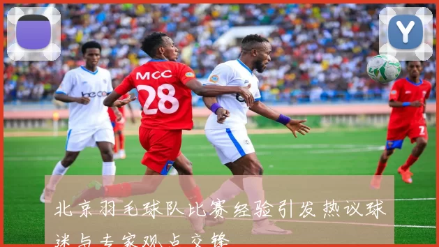 北京羽毛球队比赛经验引发热议球迷与专家观点交锋