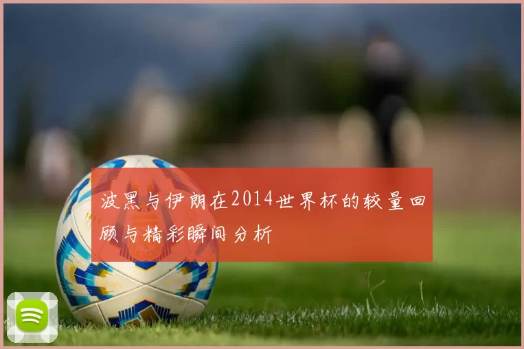 波黑与伊朗在2014世界杯的较量回顾与精彩瞬间分析