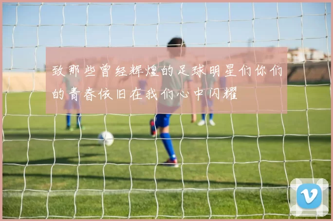 致那些曾经辉煌的足球明星们你们的青春依旧在我们心中闪耀