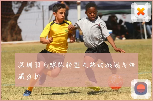 深圳羽毛球队转型之路的挑战与机遇分析
