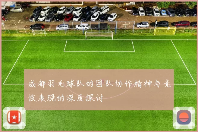 成都羽毛球队的团队协作精神与竞技表现的深度探讨