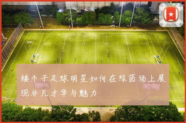 矮个子足球明星如何在绿茵场上展现非凡才华与魅力