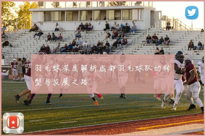 羽毛球深度解析成都羽毛球队的转型与发展之路