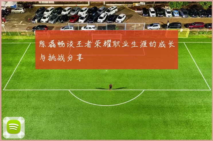 陈磊畅谈王者荣耀职业生涯的成长与挑战分享
