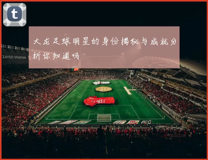 大龙足球明星的身份揭秘与成就分析你知道吗