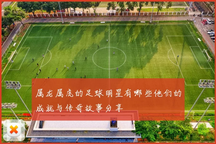 属龙属虎的足球明星有哪些他们的成就与传奇故事分享