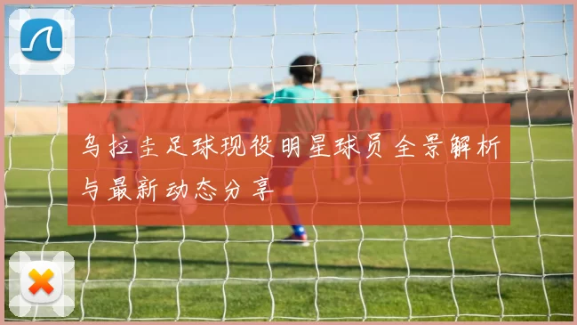 乌拉圭足球现役明星球员全景解析与最新动态分享