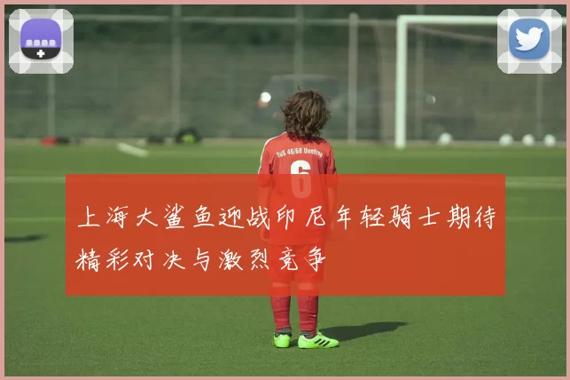 上海大鲨鱼迎战印尼年轻骑士期待精彩对决与激烈竞争